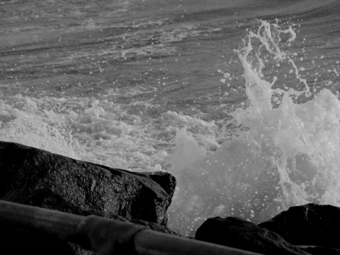 Kliknij na zdjęcie, żeby zobaczyć w pełnych wymiarach