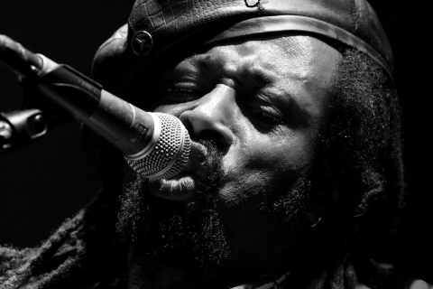 Kliknij na zdjęcie, żeby zobaczyć w pełnych wymiarach