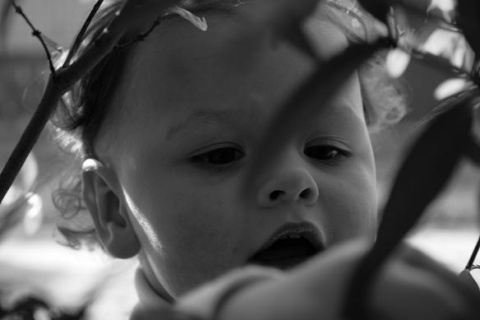 Kliknij na zdjęcie, żeby zobaczyć w pełnych wymiarach