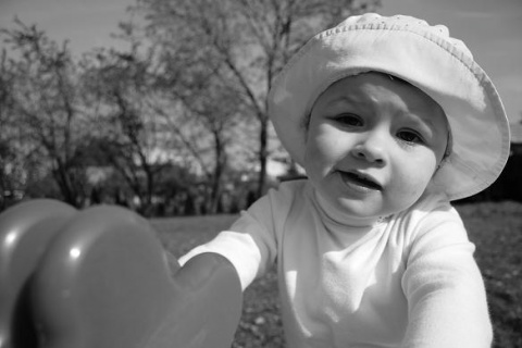 Kliknij na zdjęcie, żeby zobaczyć w pełnych wymiarach