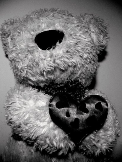 Kliknij na zdjęcie, żeby zobaczyć w pełnych wymiarach