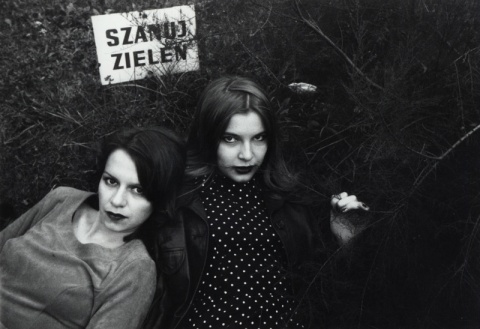 Kliknij na zdjęcie, żeby zobaczyć w pełnych wymiarach