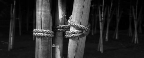 Kliknij na zdjęcie, żeby zobaczyć w pełnych wymiarach