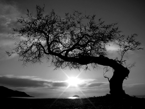 Kliknij na zdjęcie, żeby zobaczyć w pełnych wymiarach