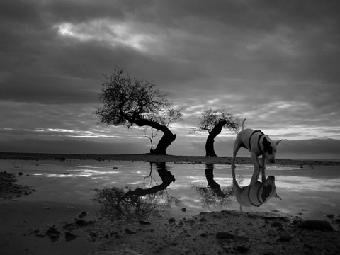Kliknij na zdjęcie, żeby zobaczyć w pełnych wymiarach