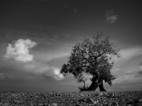 Kliknij na zdjęcie, żeby zobaczyć w pełnych wymiarach