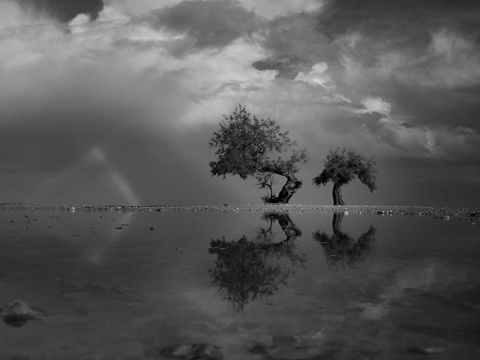 Kliknij na zdjęcie, żeby zobaczyć w pełnych wymiarach