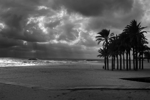 Kliknij na zdjęcie, żeby zobaczyć w pełnych wymiarach