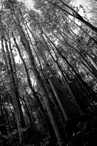 Kliknij na zdjęcie, żeby zobaczyć w pełnych wymiarach