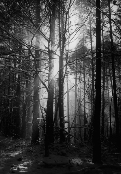 Kliknij na zdjęcie, żeby zobaczyć w pełnych wymiarach