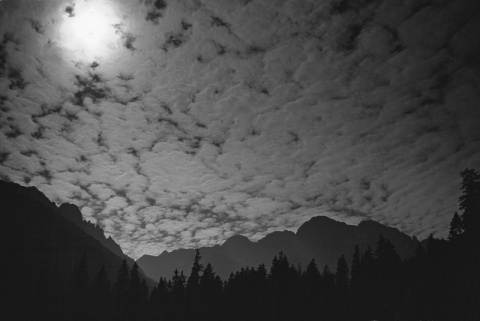 Kliknij na zdjęcie, żeby zobaczyć w pełnych wymiarach