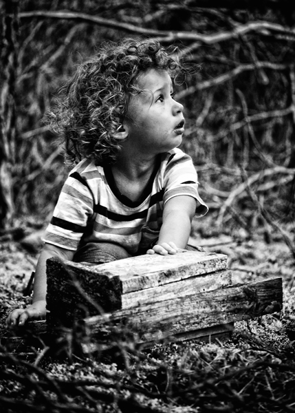 Kliknij na zdjęcie, żeby zobaczyć w pełnych wymiarach