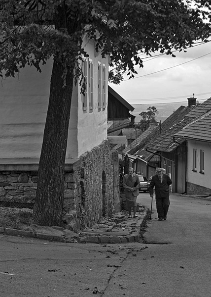 Kliknij na zdjęcie, żeby zobaczyć w pełnych wymiarach