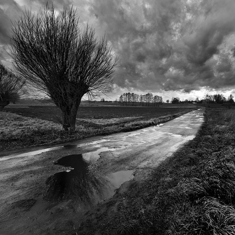 Kliknij na zdjęcie, żeby zobaczyć w pełnych wymiarach