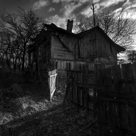 Kliknij na zdjęcie, żeby zobaczyć w pełnych wymiarach