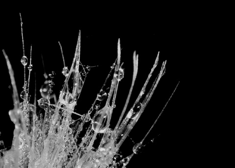 Kliknij na zdjęcie, żeby zobaczyć w pełnych wymiarach