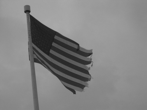 Kliknij na zdjęcie, żeby zobaczyć w pełnych wymiarach