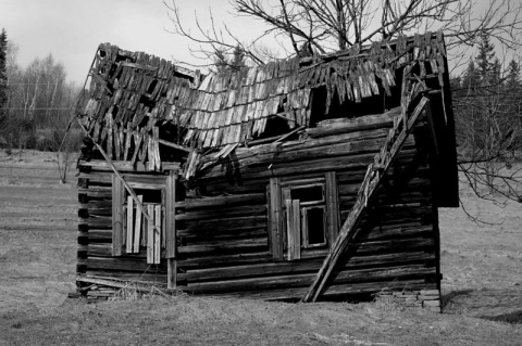 Kliknij na zdjęcie, żeby zobaczyć w pełnych wymiarach