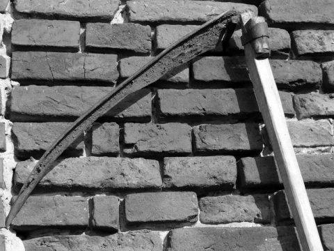 Kliknij na zdjęcie, żeby zobaczyć w pełnych wymiarach