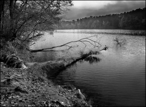 Kliknij na zdjęcie, żeby zobaczyć w pełnych wymiarach