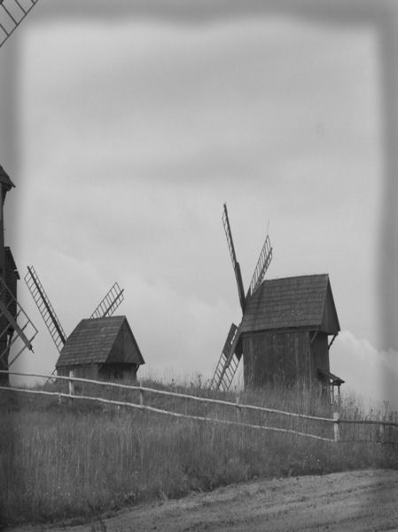 Kliknij na zdjęcie, żeby zobaczyć w pełnych wymiarach