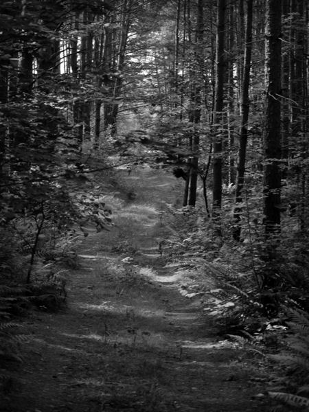 Kliknij na zdjęcie, żeby zobaczyć w pełnych wymiarach