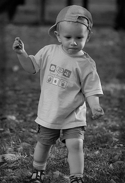 Kliknij na zdjęcie, żeby zobaczyć w pełnych wymiarach