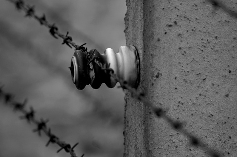 Kliknij na zdjęcie, żeby zobaczyć w pełnych wymiarach