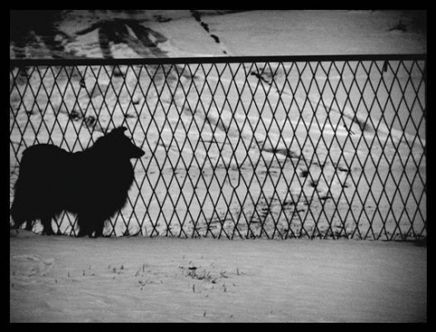 Kliknij na zdjęcie, żeby zobaczyć w pełnych wymiarach