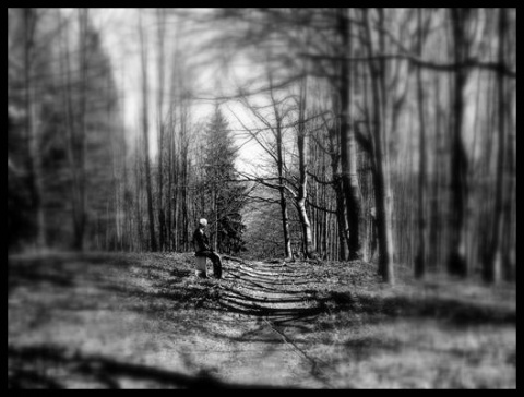 Kliknij na zdjęcie, żeby zobaczyć w pełnych wymiarach