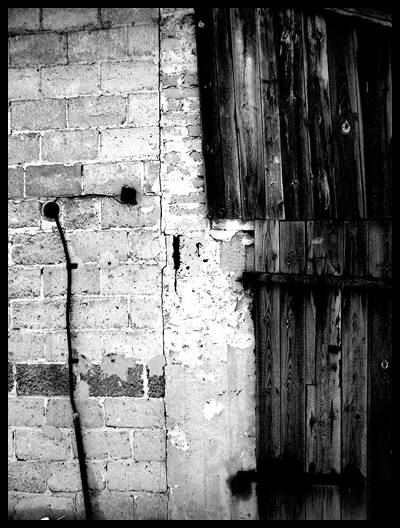 Kliknij na zdjęcie, żeby zobaczyć w pełnych wymiarach