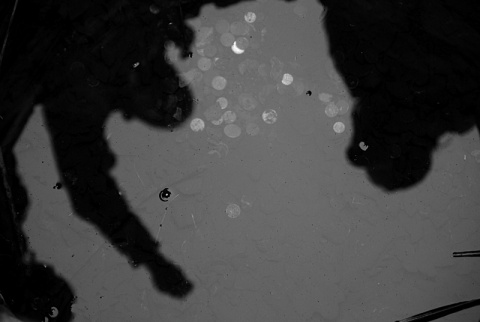 Kliknij na zdjęcie, żeby zobaczyć w pełnych wymiarach