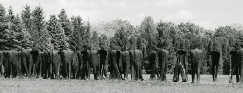 Kliknij na zdjęcie, żeby zobaczyć w pełnych wymiarach