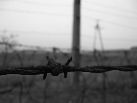 Kliknij na zdjęcie, żeby zobaczyć w pełnych wymiarach