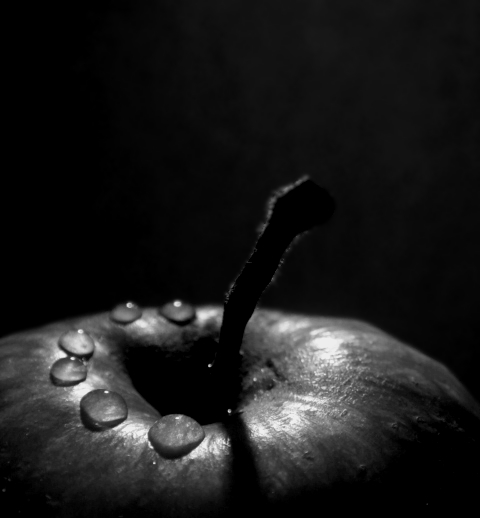 Kliknij na zdjęcie, żeby zobaczyć w pełnych wymiarach