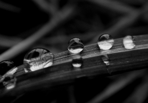 Kliknij na zdjęcie, żeby zobaczyć w pełnych wymiarach