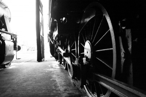 Kliknij na zdjęcie, żeby zobaczyć w pełnych wymiarach