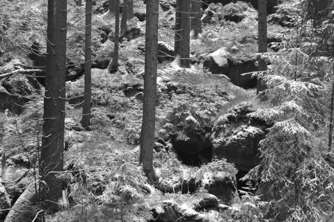 Kliknij na zdjęcie, żeby zobaczyć w pełnych wymiarach