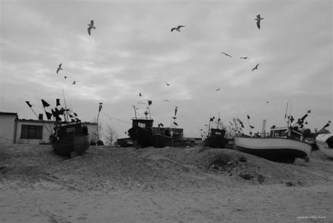 Kliknij na zdjęcie, żeby zobaczyć w pełnych wymiarach