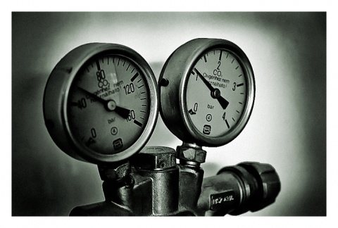 Kliknij na zdjęcie, żeby zobaczyć w pełnych wymiarach