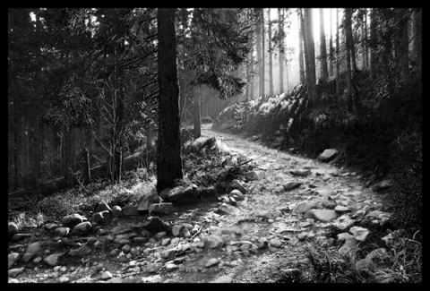 Kliknij na zdjęcie, żeby zobaczyć w pełnych wymiarach