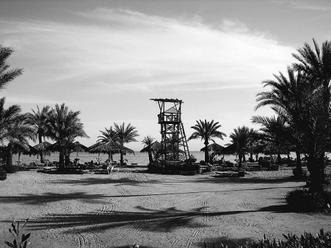 Kliknij na zdjęcie, żeby zobaczyć w pełnych wymiarach