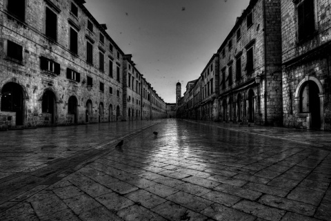 Kliknij na zdjęcie, żeby zobaczyć w pełnych wymiarach