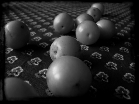 Kliknij na zdjęcie, żeby zobaczyć w pełnych wymiarach