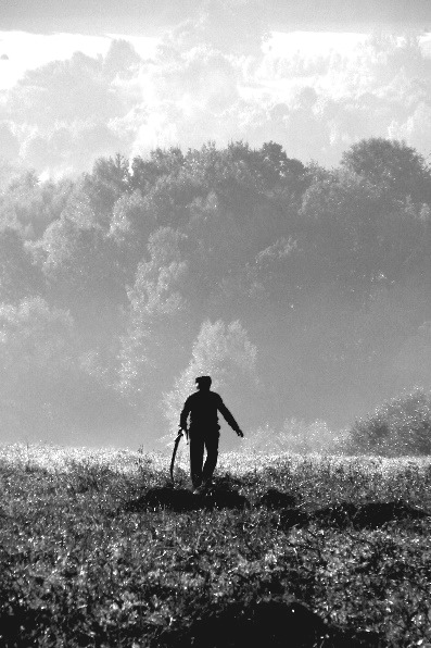 Kliknij na zdjęcie, żeby zobaczyć w pełnych wymiarach