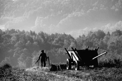 Kliknij na zdjęcie, żeby zobaczyć w pełnych wymiarach