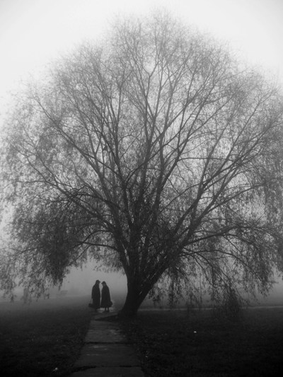 Kliknij na zdjęcie, żeby zobaczyć w pełnych wymiarach