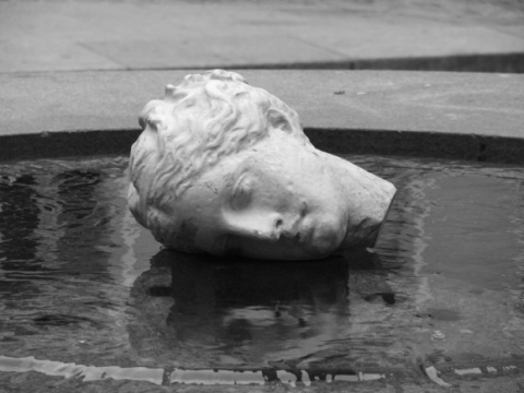 Kliknij na zdjęcie, żeby zobaczyć w pełnych wymiarach