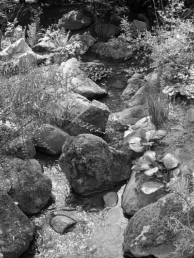 Kliknij na zdjęcie, żeby zobaczyć w pełnych wymiarach