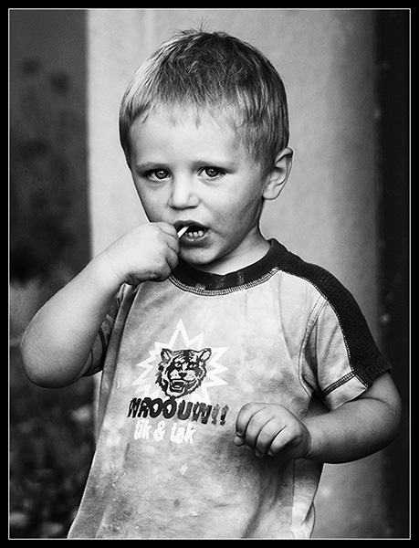 Kliknij na zdjęcie, żeby zobaczyć w pełnych wymiarach